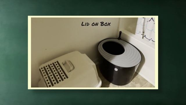 How Many Litter Boxes Do You Need For 2 Or More Cats?