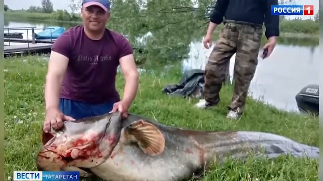 17.07.2022г. Наши в телевизоре. Клёвое местечко. Камское устье