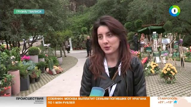 Как создать уникальный приусадебный ландшафт. Эфир от 30.05.17 смотреть онлайн