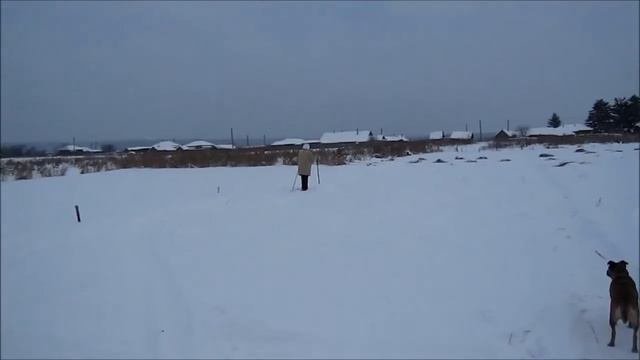 ЛЫЖНЯ НА ОГОРОДЕ. СТИХ ПРО БИАТЛОН. смотреть онлайн