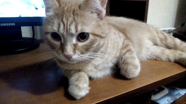 Естественный процесс ? смотреть онлайн