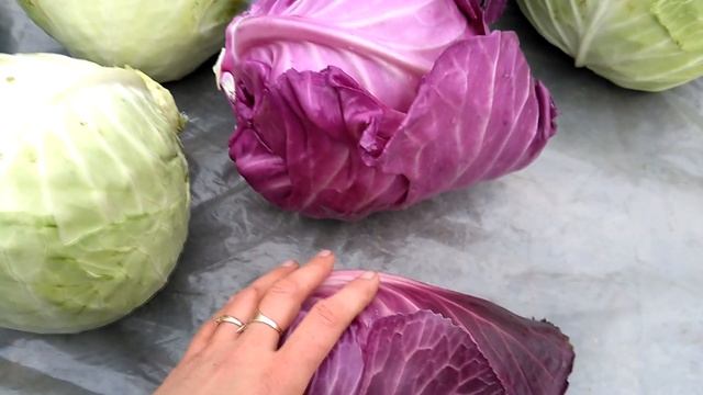 Мой урожай капусты. смотреть онлайн