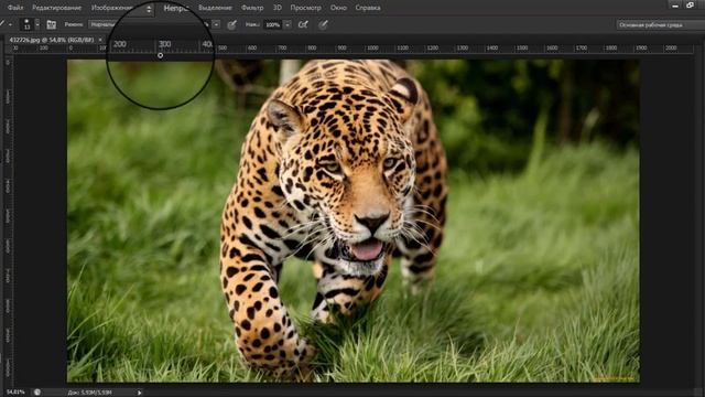 Как в фотошопе отразить зеркально смотреть онлайн