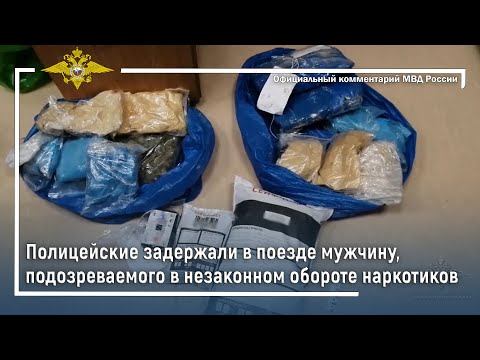 Ирина Волк: Полицейские задержали в поезде мужчину, подозреваемого в незаконном обороте наркотиков смотреть онлайн