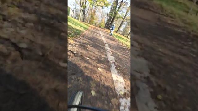 Olomouc центр города поездка на велосипеде 06.11.2020 смотреть онлайн