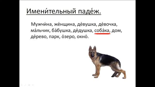 Free Russian language courses for foreigners. Lesson 20. Nominative case смотреть онлайн