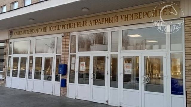 Пони тоже кони!!! Или как стать грамотным частным владельцем + упражнение для каждого!!! смотреть онлайн