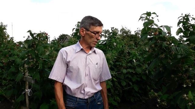 Бизнес на малине смотреть онлайн