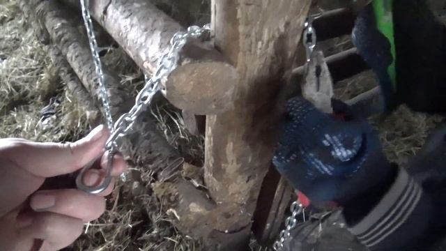 Лайфаки от Степановны или женщина с молотком. Привет Соседу земляка. смотреть онлайн