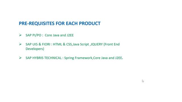 Opportunities For Java/J2EE Resources In SAP смотреть онлайн