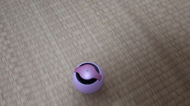 SONY SRS-BTV5をiPhoneとBluetooth接続してみた！ смотреть онлайн