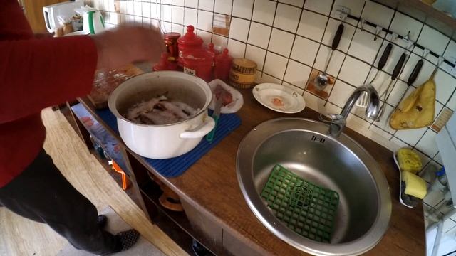 Друзья с Хвостиками