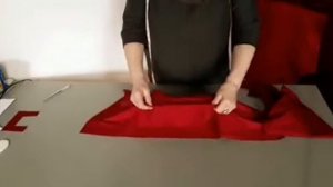 Шью чехлы на чемоданы с окошками.  Удобно и надежно.( два способа)