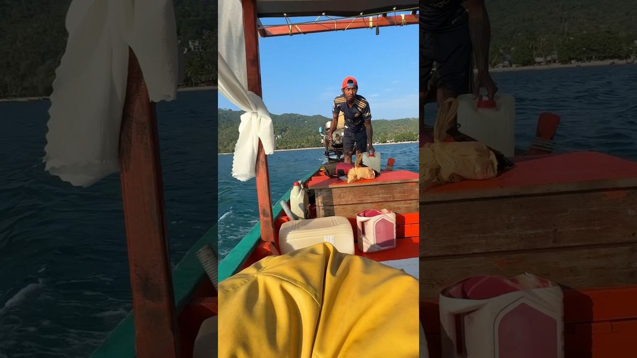 Снорклинг с черепахами и акулами на Ко Тао. Авторский трип . #отдыхвпаттайе смотреть онлайн