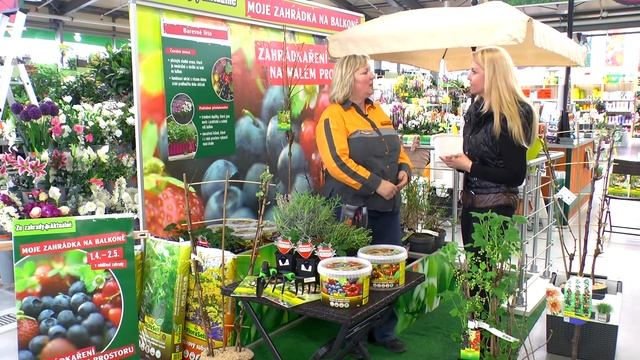 Pěstujeme ovoce a zeleninu na balkoně смотреть онлайн