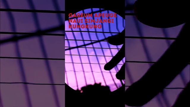 [ TABS ] Enhypen - Polaroid Love Fingerstyle смотреть онлайн