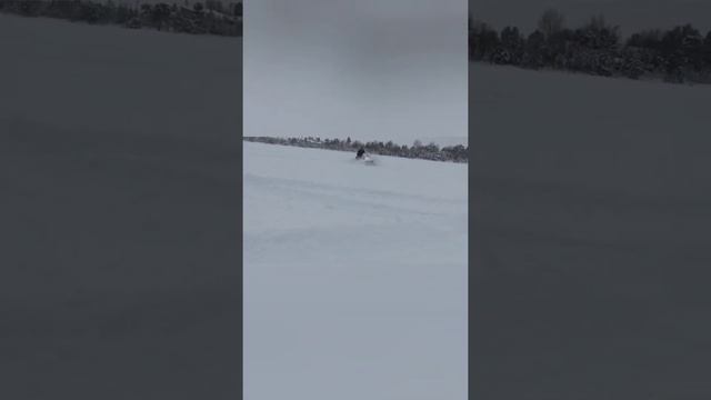 BRP ski-doo skandik swt800 и wt lc600 по глубокому снегу смотреть онлайн