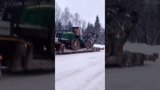 привезли харвейстер смотреть онлайн