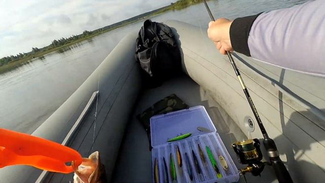 Щука в полнолуние и штиль . смотреть онлайн