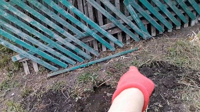 Сделала новую клумбу для примулы/укусила пчела смотреть онлайн