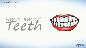 Части лица на английском (часть 2). Запоминаем части лица на английском