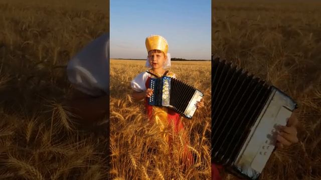 У ворот сосна зеленая смотреть онлайн