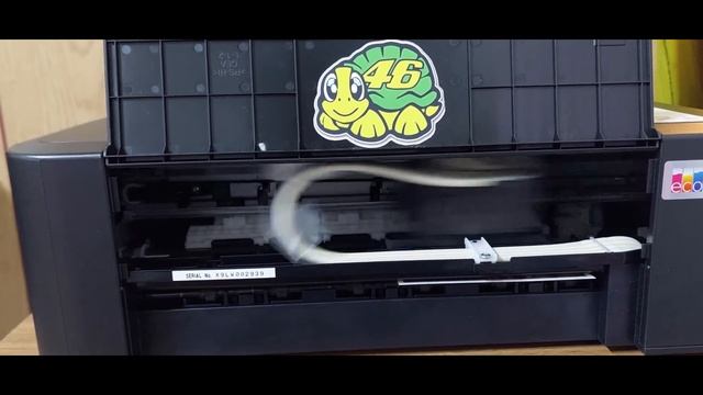 Epson L121 Photo Printing Quality