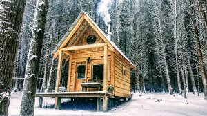 Постройка хижины в лесу HD