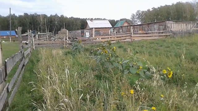 уборка вынужденая и про козлов смотреть онлайн