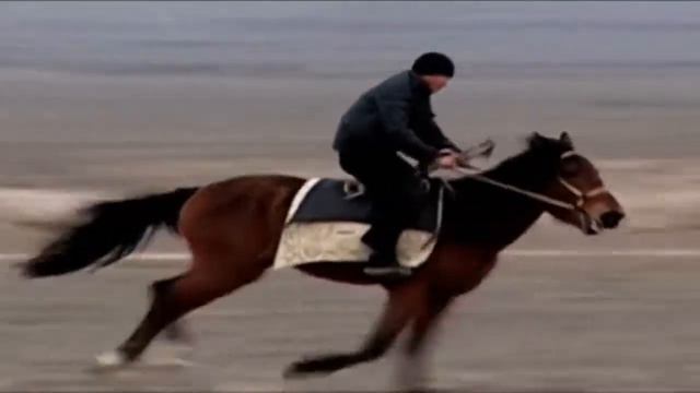 Адай куй смотреть онлайн