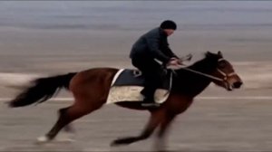 Адай куй