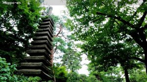 5 Japanese Gardens in TOKYO