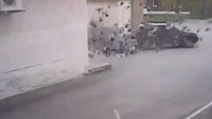 Автоубийца раздавил 36 голубей. Real video