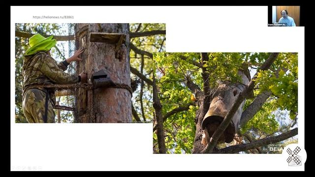 Стихия воды и традиционные деревянные конструкции и изделия. Часть 3 / Борис Яровой