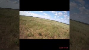 Рыбалка с острогой на не большой речке