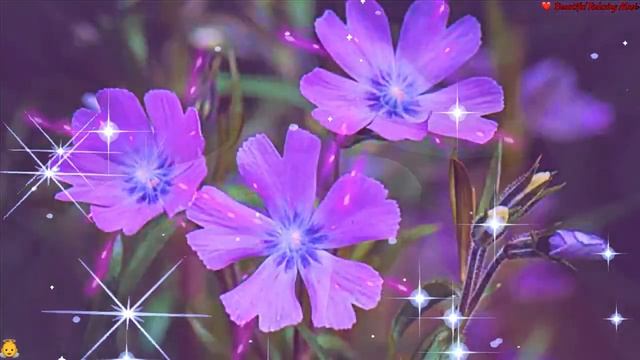 ? Привітання з Днем ангела Михайла!?З найкращими побажаннями! ?