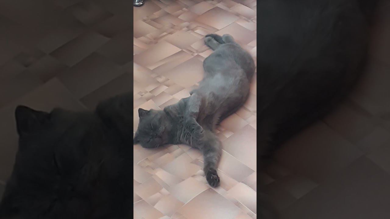 Тиша - после ночной смены.. смотреть онлайн