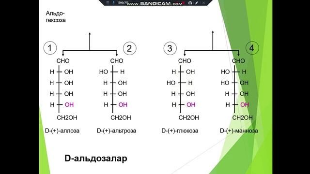 Uglevodlar Monosaxaridlar