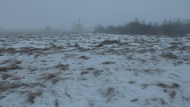 КОП МОНЕТ КОГДА НЕ ВЕЗЕТ МОИ НАХОДКИ С МЕТАЛЛОИСКАТЕЛМ ПОИСК ЦАРСКИХ МОНЕТ В УРОЧИЩЕ смотреть онлайн