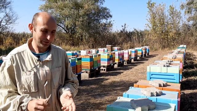 Шестирамочники ППС и нуклеусы ППУ. Разные мысли. 04.10.2020