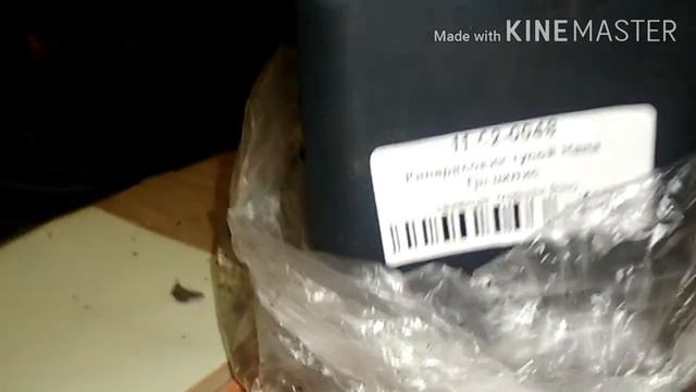 ?Посылка с хвойными//Кипарисовик Нана грацилис// шаровидные туи Амбер глоу смотреть онлайн