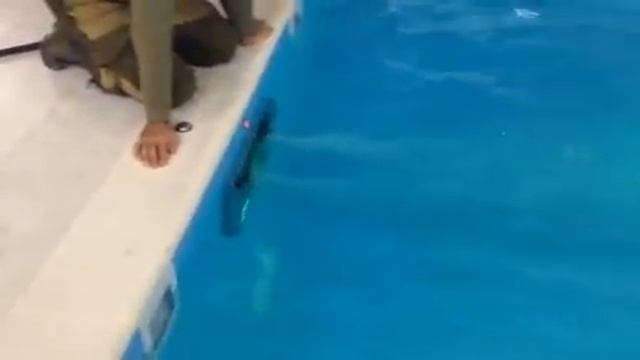 Работа Гольфстрима смотреть онлайн