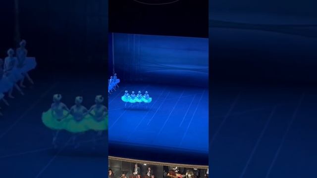 #shorts танець маленьких лебедів у театрі Сан-Карло (Неаполь) з оваціями ????21.12.22 смотреть онлайн