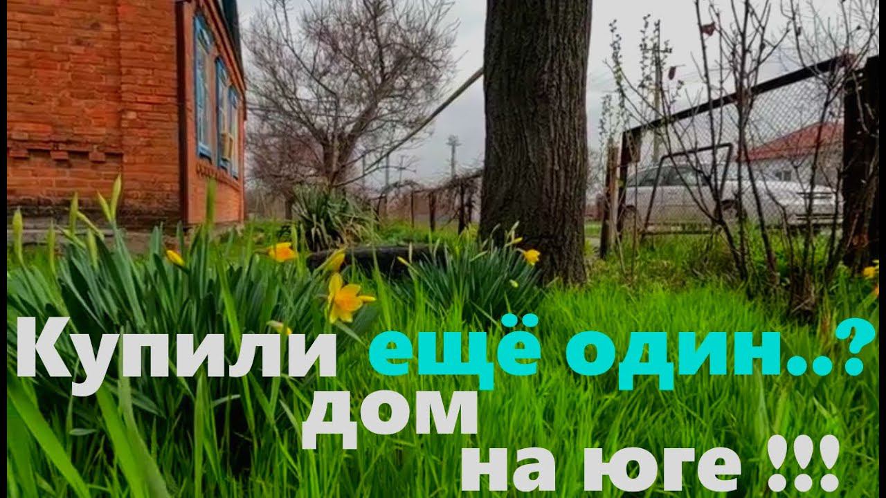 # 196 Купили дом на юге. Ещё один. смотреть онлайн