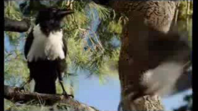 Весёлая реклама смотреть онлайн