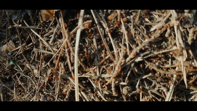 Мощная туристическая горелка 1500 ват Обзор плиты " РУЧНОЕ ПЛАМЯ"от компании СЛЕДОПЫТ. смотреть онлайн