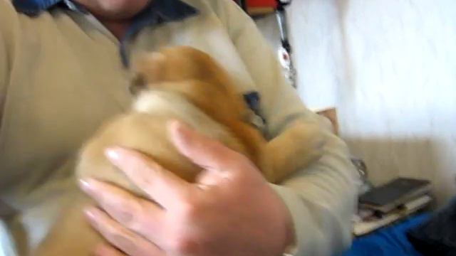 Наши дети1 смотреть онлайн