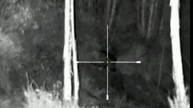 Yukon Photon XT + Browning A-bolt 308W смотреть онлайн