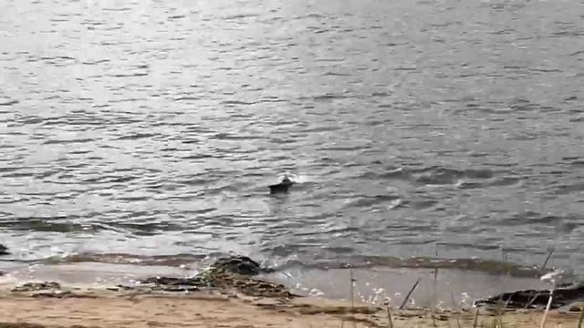 Мальчик и кораблик на море смотреть онлайн