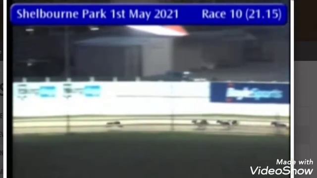 Shelbourne Greyhound puppy Oakes final 2021 смотреть онлайн